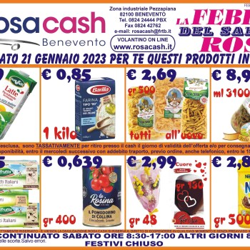 Febbre 2101